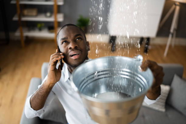 Best Local water damage restoration  in Millsboro, DE