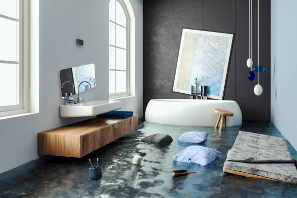 Carpet water damage restoration in Millsboro, DE