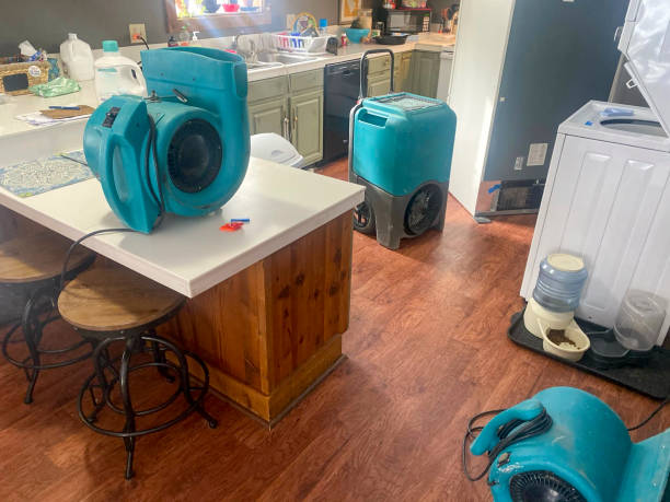 Water damage restoration mold remediation in Millsboro, DE