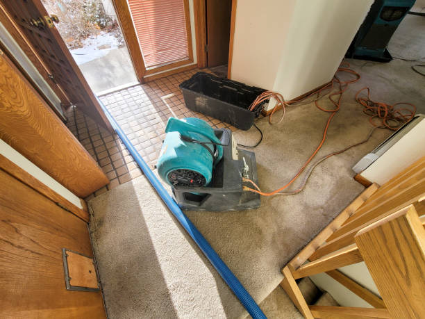 Best Commercial water damage restoration  in Millsboro, DE