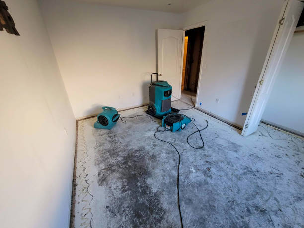 Trusted Millsboro, DE Water damage restoration Experts