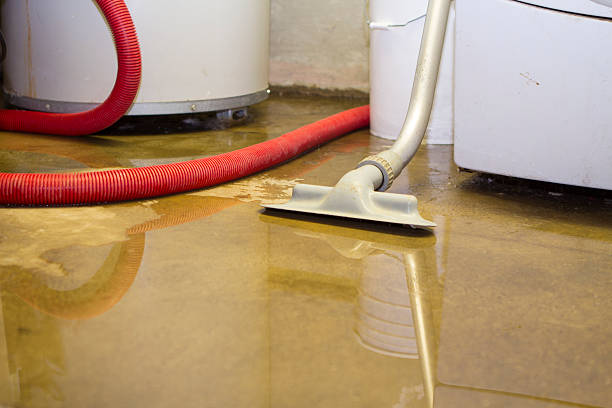 Best Mold removal after water damage  in Millsboro, DE