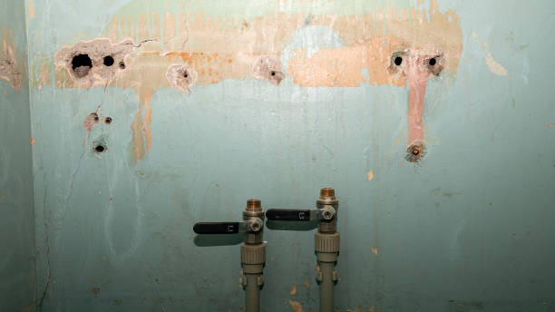 Best Fire Damage Restoration  in Millsboro, DE
