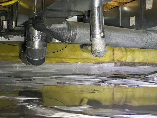 Best Water damage restoration insurance claims  in Millsboro, DE