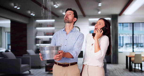 Best Water damage restoration specialists  in Millsboro, DE