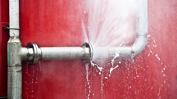 Best Water damage restoration mold remediation  in Millsboro, DE